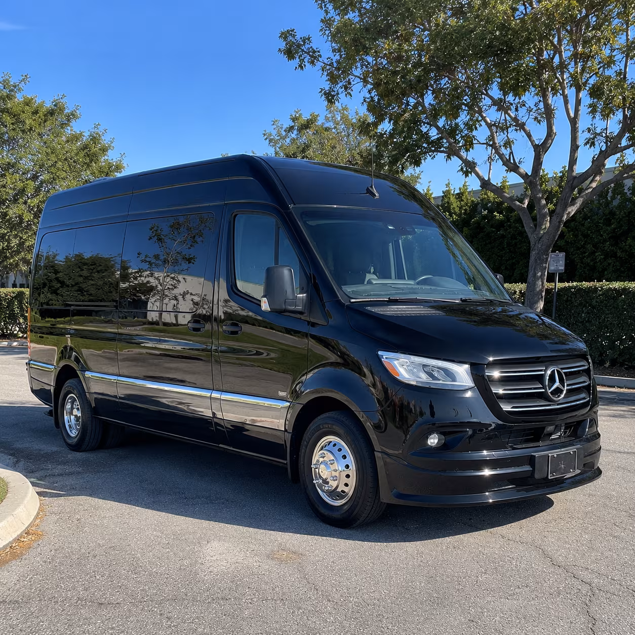 el monte sprinter van with driver