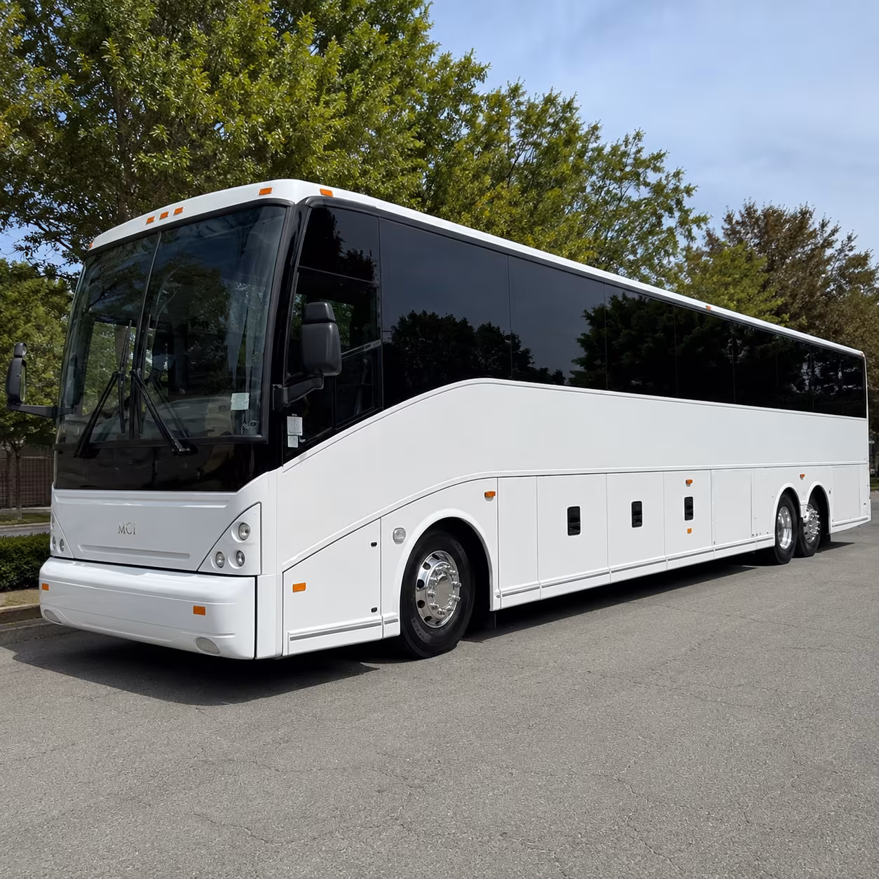 sprinter vans and minibuses for el monte wedding party transportation